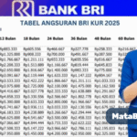 Pinjaman KUR BRI 2025