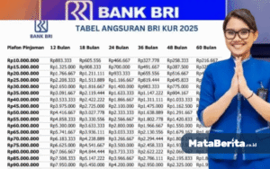 Pinjaman KUR BRI 2025