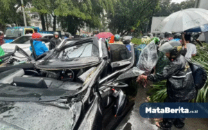 Mobil Lexus Tertimpa Pohon di Pondok Indah