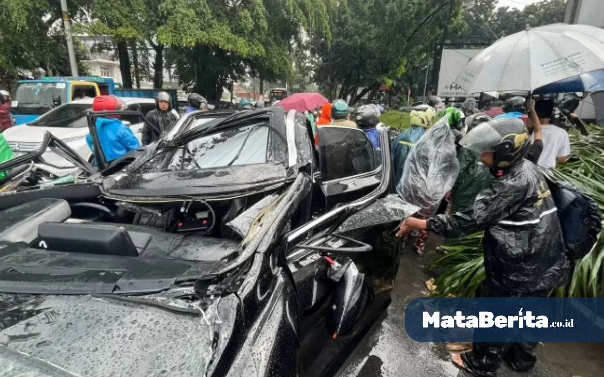 Mobil Lexus Tertimpa Pohon di Pondok Indah