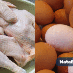 Harga Telur Ayam Hari Ini