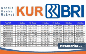 Tabel Pinjaman KUR BRI 2025
