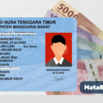 Cek NIK KTP