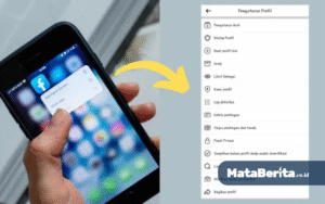 Mode Profesional FB Tidak Muncul