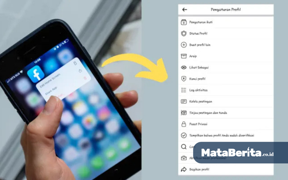 Mode Profesional FB Tidak Muncul