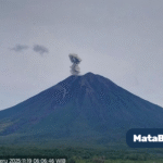 Letusan Vulkanik di Gunung Semeru Hari In