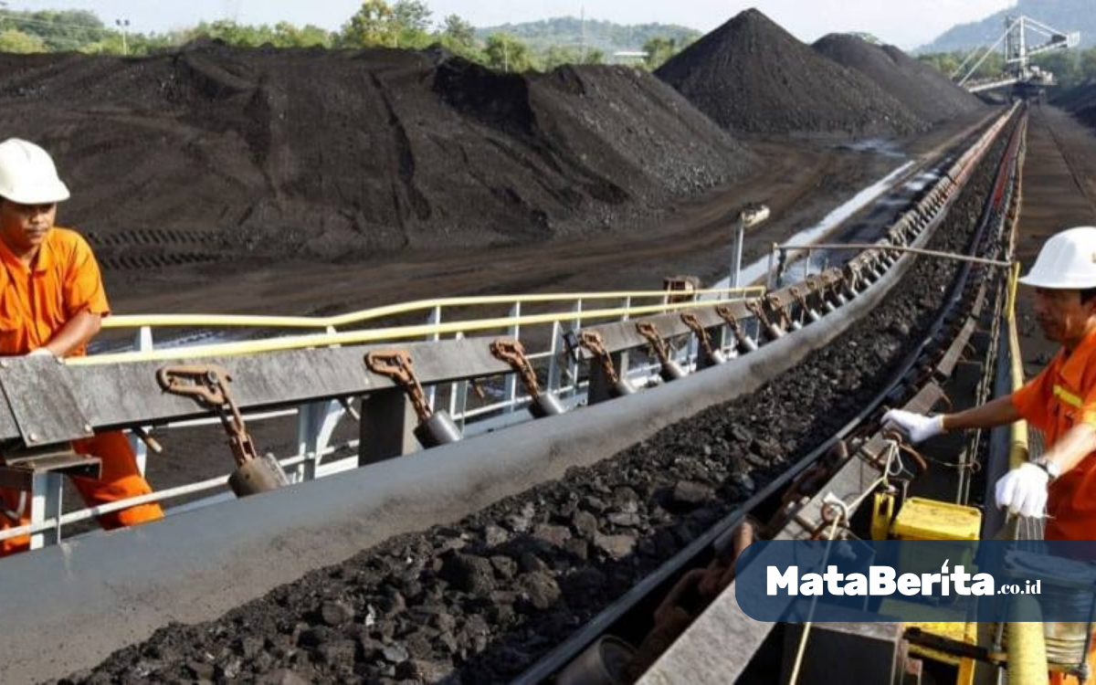 Target harga saham BUMI