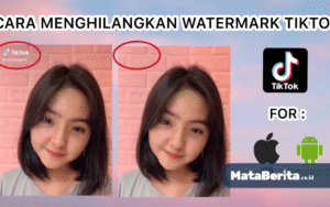 Cara Menghilangkan Tulisan atau Logo TikTok