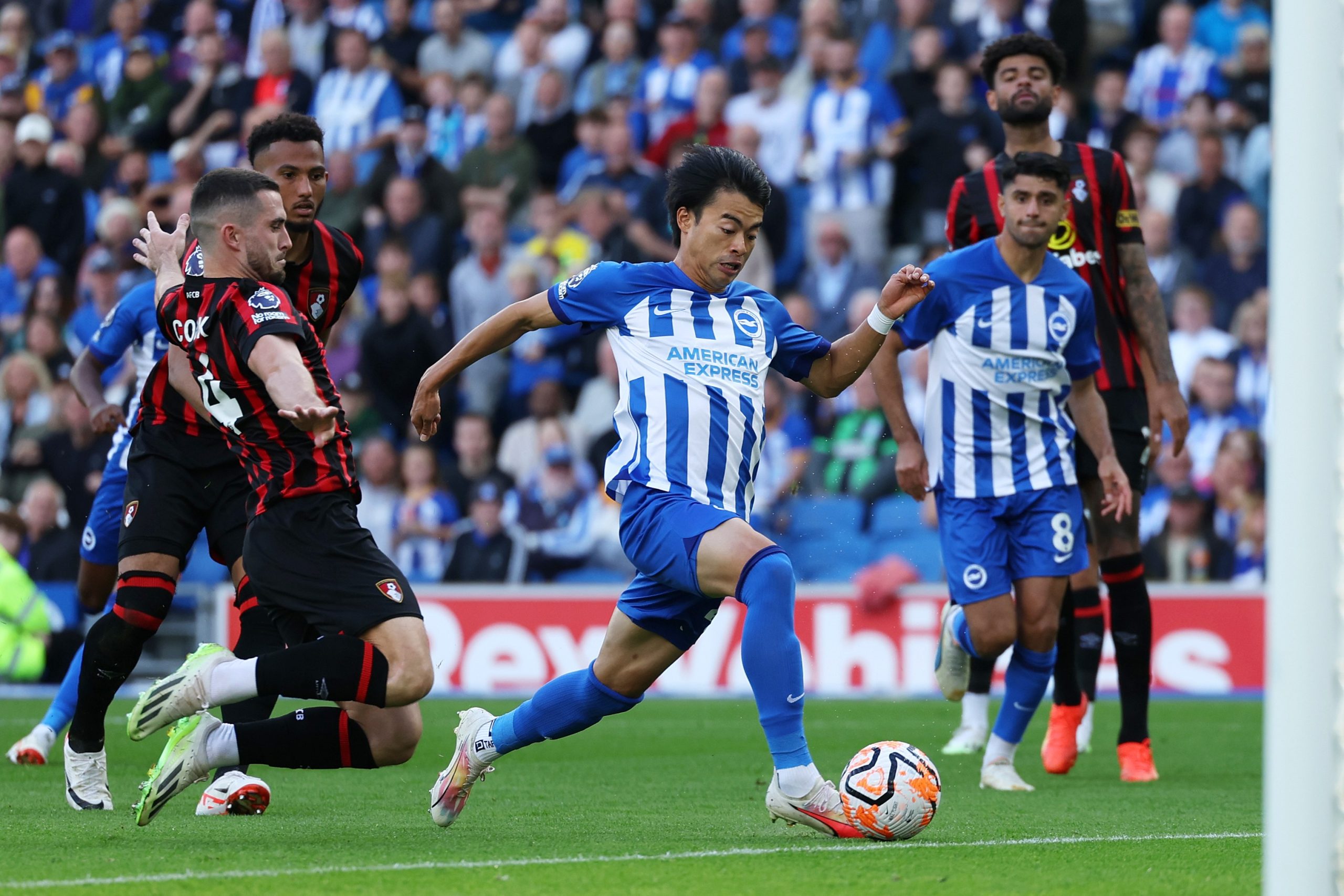 Brighton vs Bournemouth: Gol Salto Menit Akhir Kostoulas Selamatkan The Seagulls dari Kekalahan Kontroversial