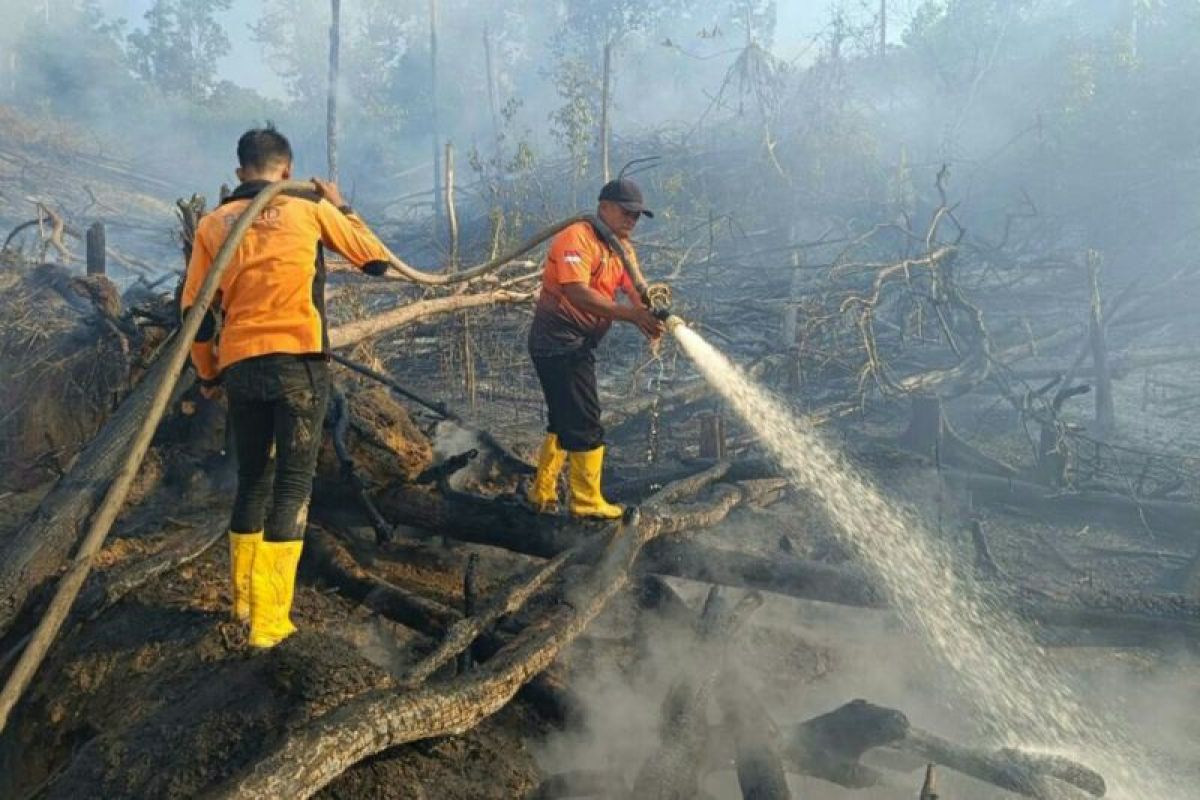 Potensi Karhutla 2027 Diwaspadai BNPB, Siklus Musim Kering Jadi Alarm Serius
